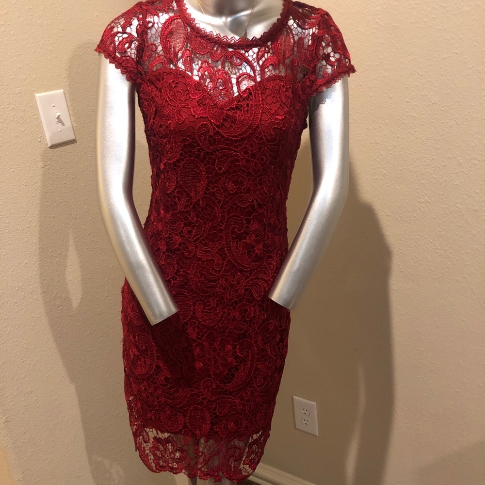 Beautiful elegant red rose flower. Size medium